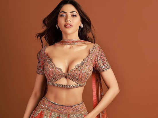 Ravishing Poses Of Nikki Tamboli